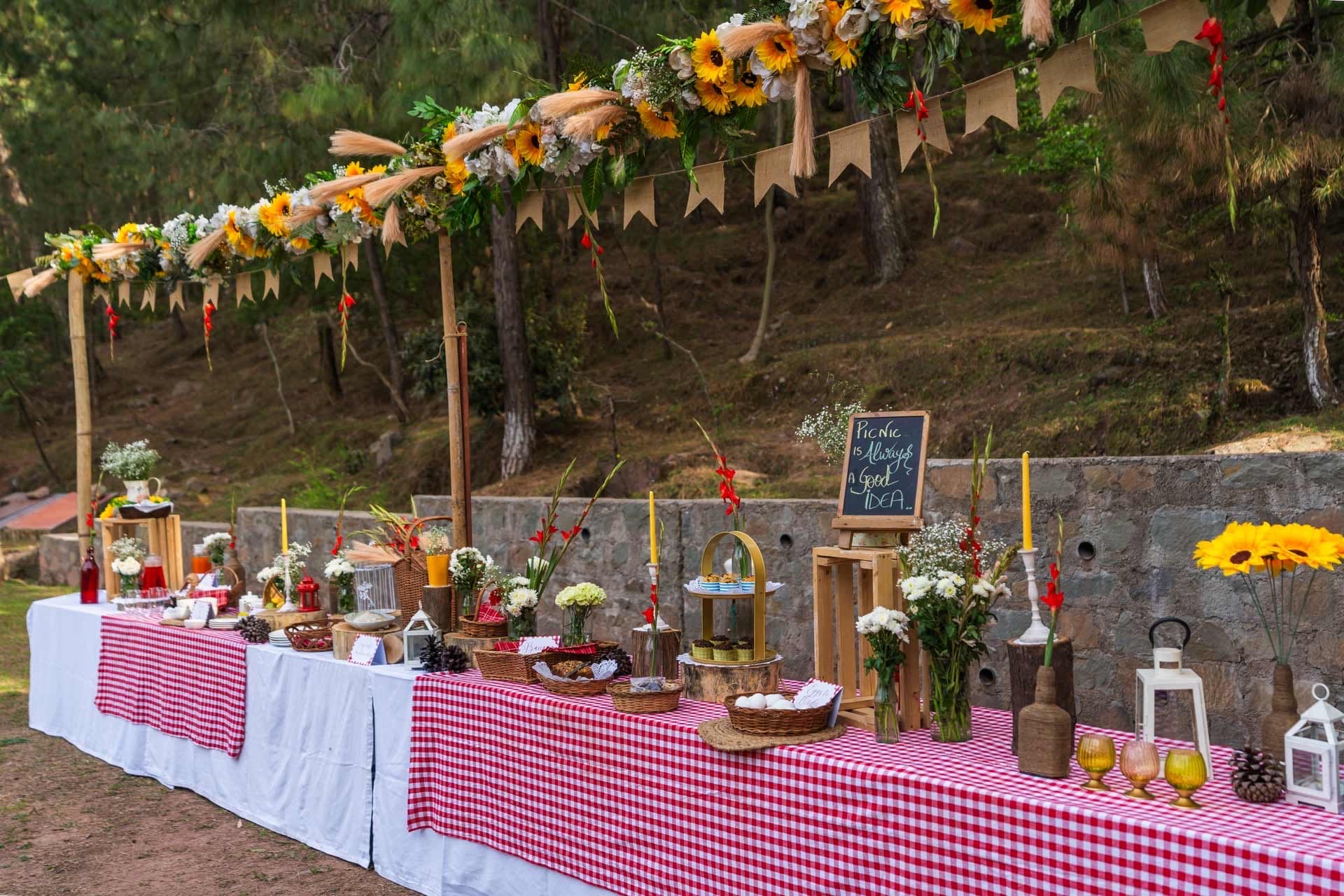 A picnic in the pines